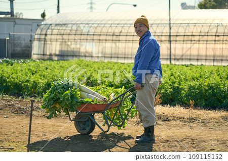 一名男子提著收穫的蘿蔔 109115152