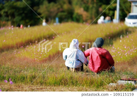 Scarecrow in the Countryside Scarecrow 109115159