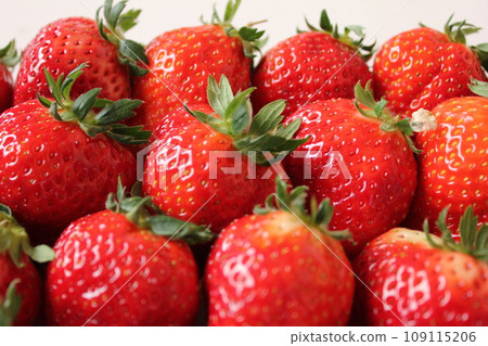 ▼▼草莓▼草莓▼草莓▼▼﻿﻿〜﻿*草莓*﻿〜 109115206