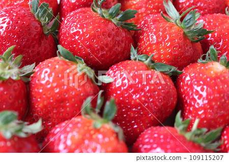 ▼▼草莓▼草莓▼草莓▼▼〜*草莓*〜 ▼▼草莓▼草莓▼草莓▼▼〜*草莓*〜 109115207