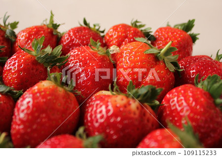 ▼▼Strawberry▼Strawberry▼Strawberry▼▼　　　〜¨* Strawberry *¨〜 109115233