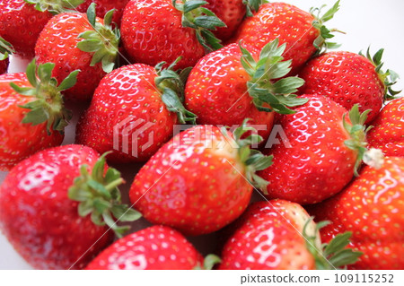 ▼▼草莓▼草莓▼草莓▼▼〜*草莓*〜 ▼▼草莓▼草莓▼草莓▼▼〜*草莓*〜 109115252