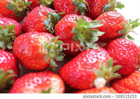 ▼▼Strawberry▼Strawberry▼Strawberry▼▼　　　〜¨* Strawberry *¨〜 109115253