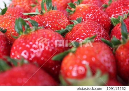 ▼▼草莓▼草莓▼草莓▼▼﻿﻿〜﻿*草莓*﻿〜 109115262