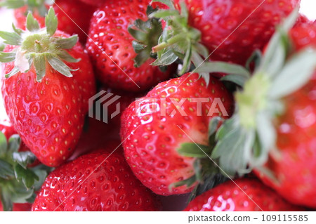 ▼▼Strawberry▼Strawberry▼Strawberry▼▼ 〜¨* Strawberry *¨〜 ▼▼Strawberry▼Strawberry▼Strawberry▼▼ 〜¨* Strawberry *¨〜 109115585