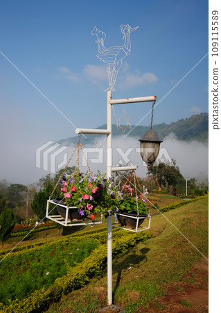 Blooming white and violet flowers in wooden pot hanging with iron pole in natural light garden on mountain with mist and blue sky 109115589