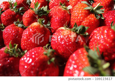 ▼▼草莓▼草莓▼草莓▼▼﻿﻿〜﻿*草莓*﻿〜 109115617