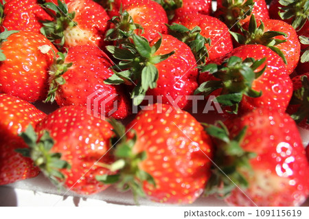 ▼▼草莓▼草莓▼草莓▼▼﻿﻿〜﻿*草莓*﻿〜 109115619