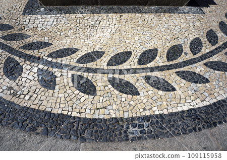 Olive Branch Pattern in Mosaic Paving Tiles in Aveiro, Portugal. 109115958