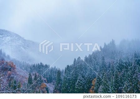 Mountains on a snowy day 109116173