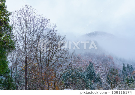 Mountains on a snowy day 109116174