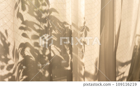 curtain, silhouette, interior 109116219