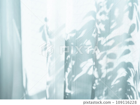 curtain, silhouette, silhouetted 109116228