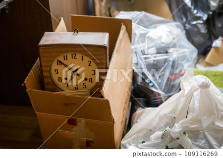 A large amount of garbage from cleaning A large amount of garbage from cleaning 109116269