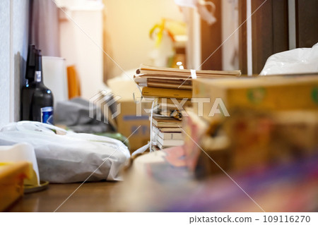 A large amount of garbage from cleaning 109116270