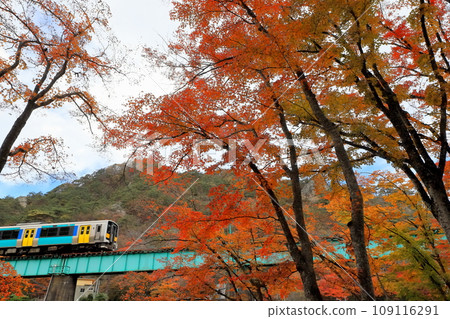 以山祭山為背景的“從楓林中看到的水郡線” 以山祭山為背景的“從楓林中看到的水郡線” 109116291