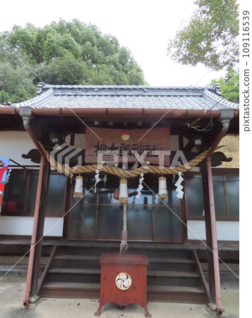 Overall front view of the main shrine of Kumano Gongen Momotaro Shrine in Kinashi-cho, Takamatsu City, Kagawa Prefecture Overall front view of the main shrine of Kumano Gongen Momotaro Shrine in Kinashi-cho, Takamatsu City, Kagawa Prefecture 109116539