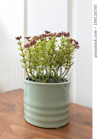 Artificial plant flower in flowerpot on the table 109116785