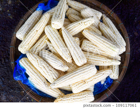 Many raw maize against black background 109117061