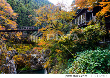 東京都奧多摩町鳩之棲溪谷的紅葉 109117915