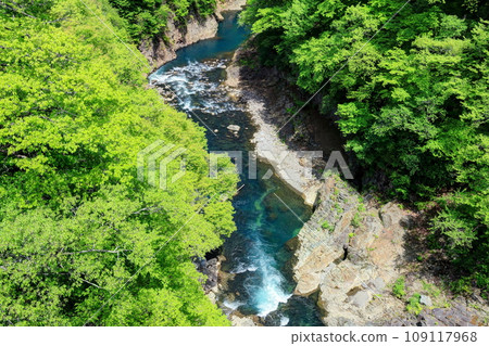 Shogun Valley of the fresh green Shogun Valley of the fresh green 109117968