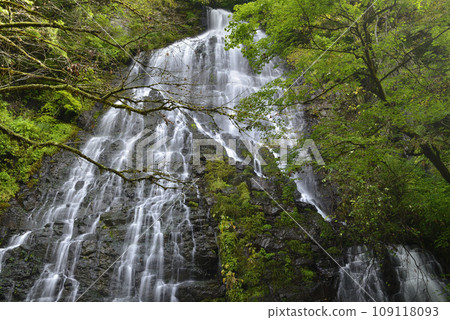 [Ikeda Town, Fukui Prefecture] Ryusogataki Falls (Japan's Top 100 Waterfalls) 109118093