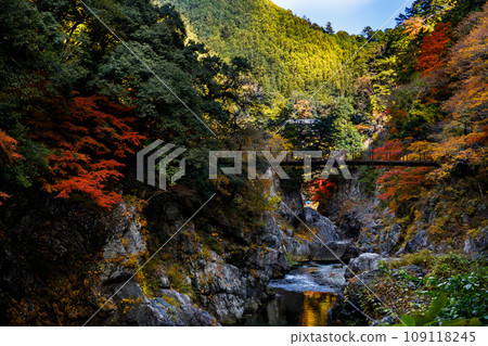 Autumn leaves in Hatonosu Valley, Okutama-cho, Tokyo Autumn leaves in Hatonosu Valley, Okutama-cho, Tokyo 109118245