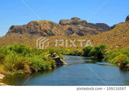 Salt River Recreation Area Arizona Salt River Recreation Area Arizona 109118267