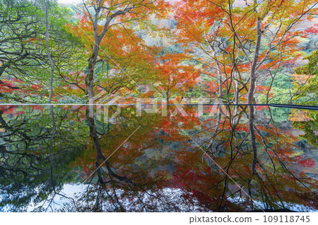 秋天的京都嵐山 — 嵐山 Yusai-tei 的秋葉倒影 109118745