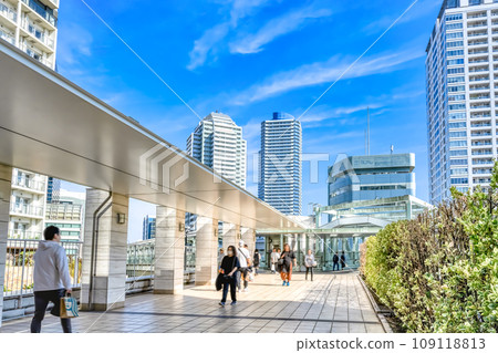 Cityscape of Yokohama Skyway 109118813