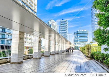 Cityscape of Yokohama Skyway 109118814