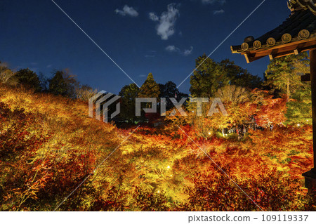 京都東山秋天，東福寺，秋葉燈火通明 109119337