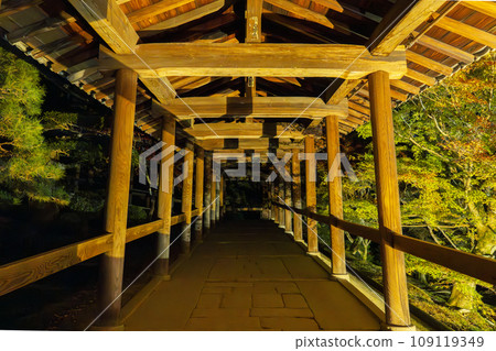 Higashiyama, Kyoto in autumn, Tofukuji Temple, autumn leaves illuminated Higashiyama, Kyoto in autumn, Tofukuji Temple, autumn leaves illuminated 109119349