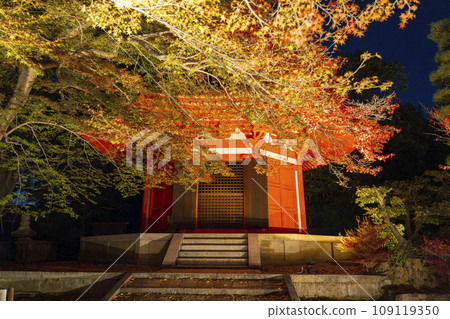Higashiyama, Kyoto in autumn, Tofukuji Temple, Aizendo and autumn leaves illuminated Higashiyama, Kyoto in autumn, Tofukuji Temple, Aizendo and autumn leaves illuminated 109119350