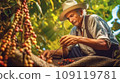 Colombian man wearing hat harvesting ripe coffee on plantation. Portrait of Farmer picking red bean.  109119781