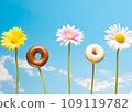 Colorful glazed donuts and daisy flowers in row against blue sky 109119782