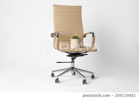 Office chair with cactus isolated on white. Hemorrhoids concept 109119881