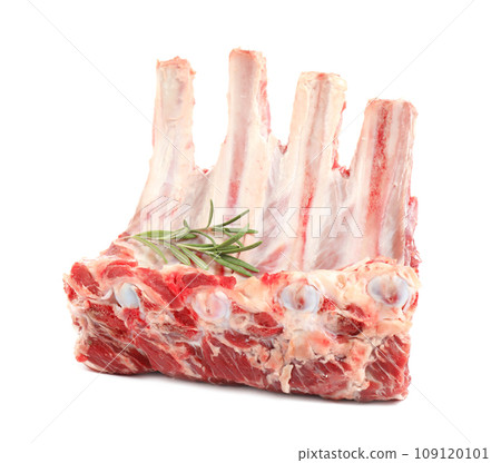 Raw ribs with rosemary on white background 109120101
