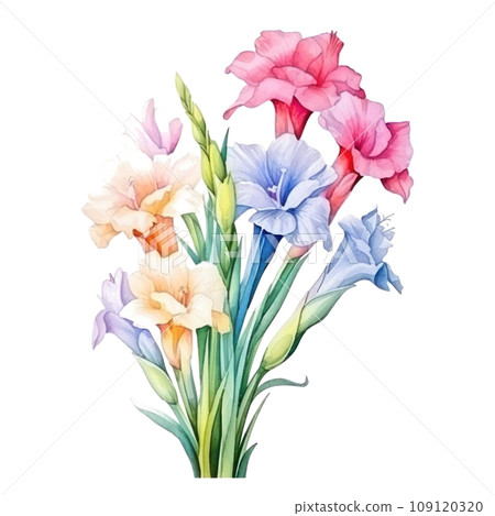 Watercolor Gladioli Flowers border isolated Watercolor Gladioli Flowers border isolated 109120320