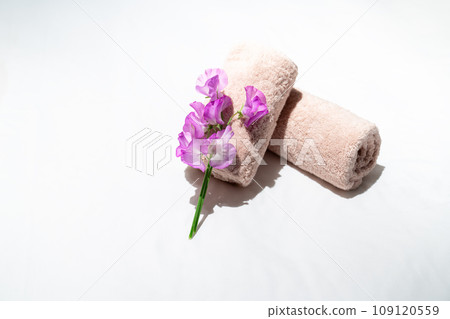 Beauty salon image 109120559