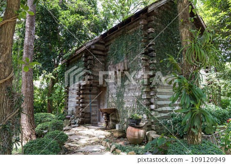 Hidden old house covered by ivy and surrounded by trees Hidden old house covered by ivy and surrounded by trees 109120949