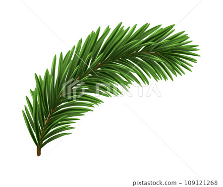 Green Christmas Fir Branch 109121268