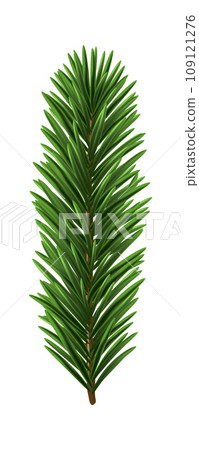 Green Christmas Fir Branch Green Christmas Fir Branch 109121276