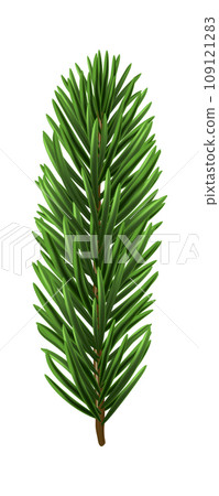 Green Christmas Fir Branch Green Christmas Fir Branch 109121283