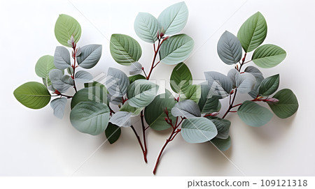 flower isolated floral nature plant spring leaf background summer generative Ai. 109121318
