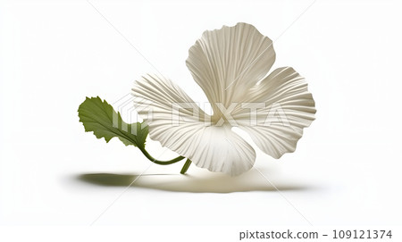 flower isolated floral nature plant spring leaf background summer generative Ai. 109121374