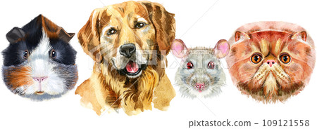 Border from watercolor portraits of dog, guinea pig, cat, mini pig, rabbit and rat 109121558