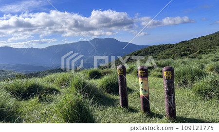 cow pile avoidance 109121775