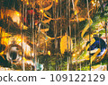 christmas tree 109122129