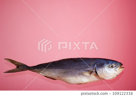Tuna fish on a pink background, salted dried - isolate 109122338